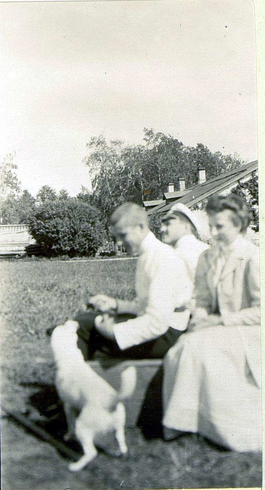 71054458_original.jpg 71054458_original.jpg