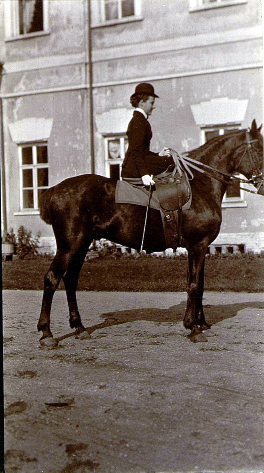 71055309_original.jpg 71055309_original.jpg