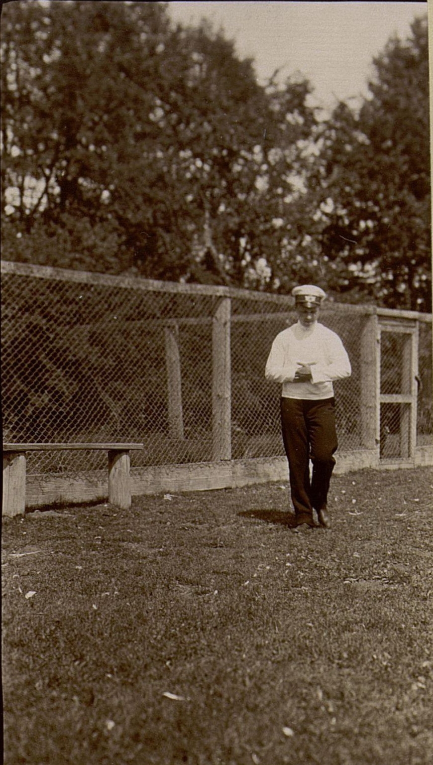 71055582_original.jpg 71055582_original.jpg