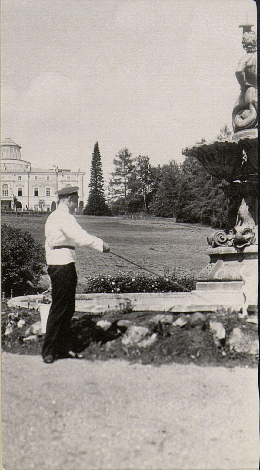 71055979_original.jpg 71055979_original.jpg