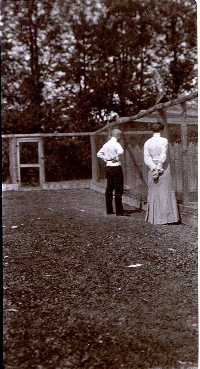 71056169_original.jpg 71056169_original.jpg