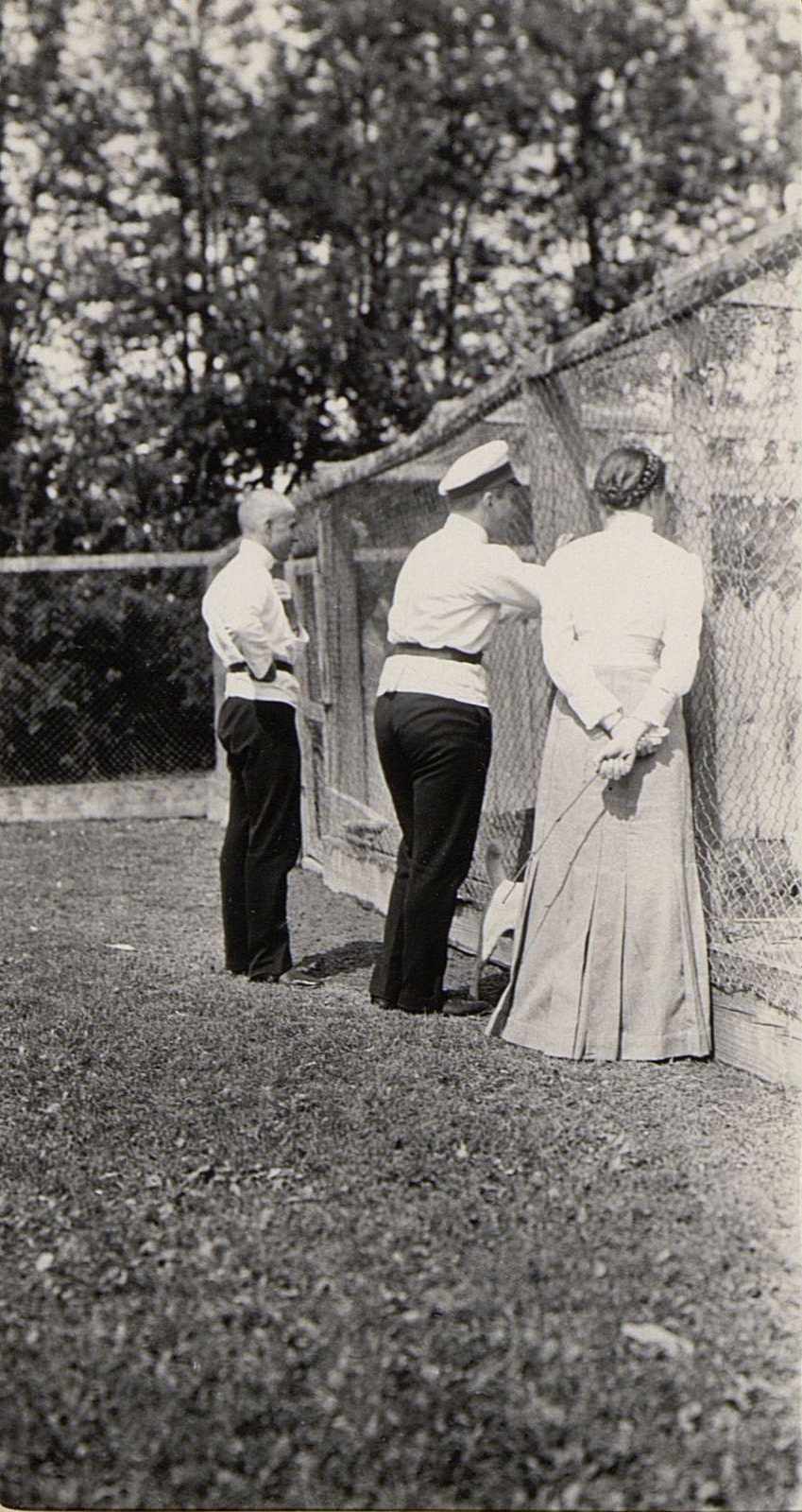 71056497_original.jpg 71056497_original.jpg