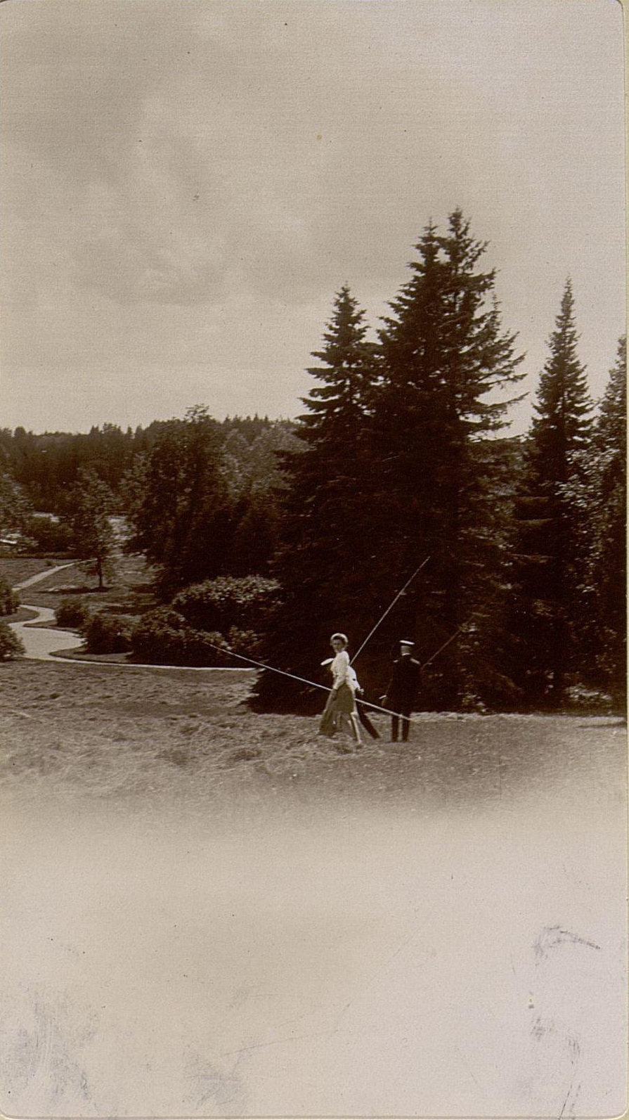 71056861_original.jpg 71056861_original.jpg