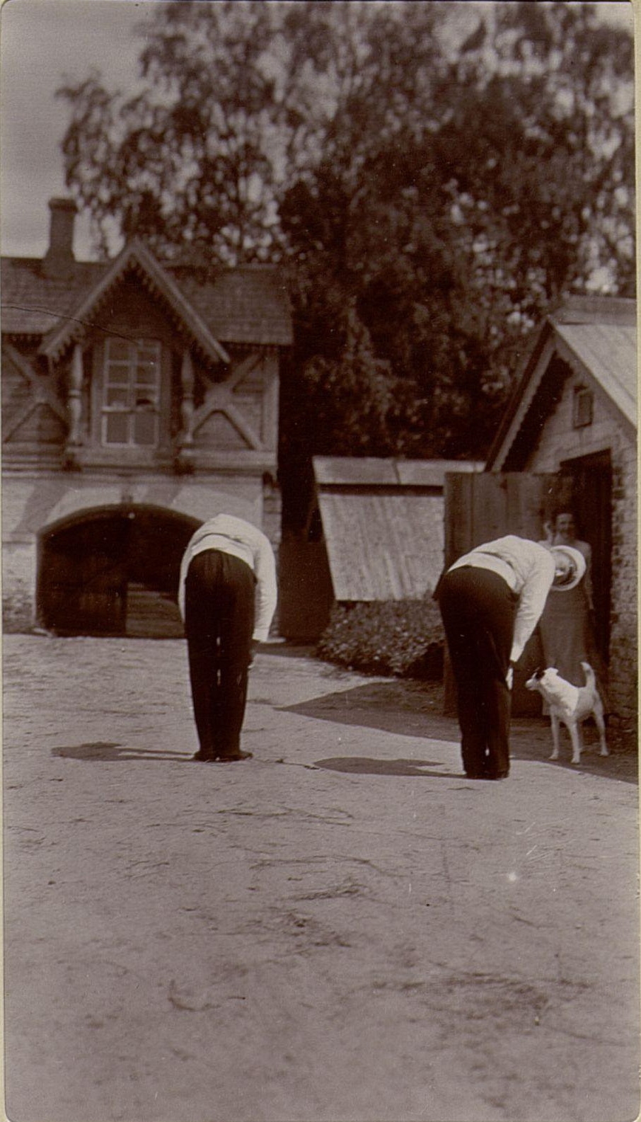 71057309_original.jpg 71057309_original.jpg