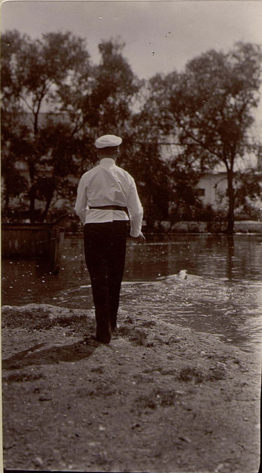 71057464_original.jpg 71057464_original.jpg