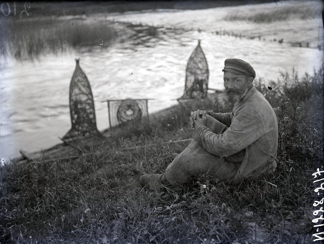 71958740_original.jpg 71958740_original.jpg