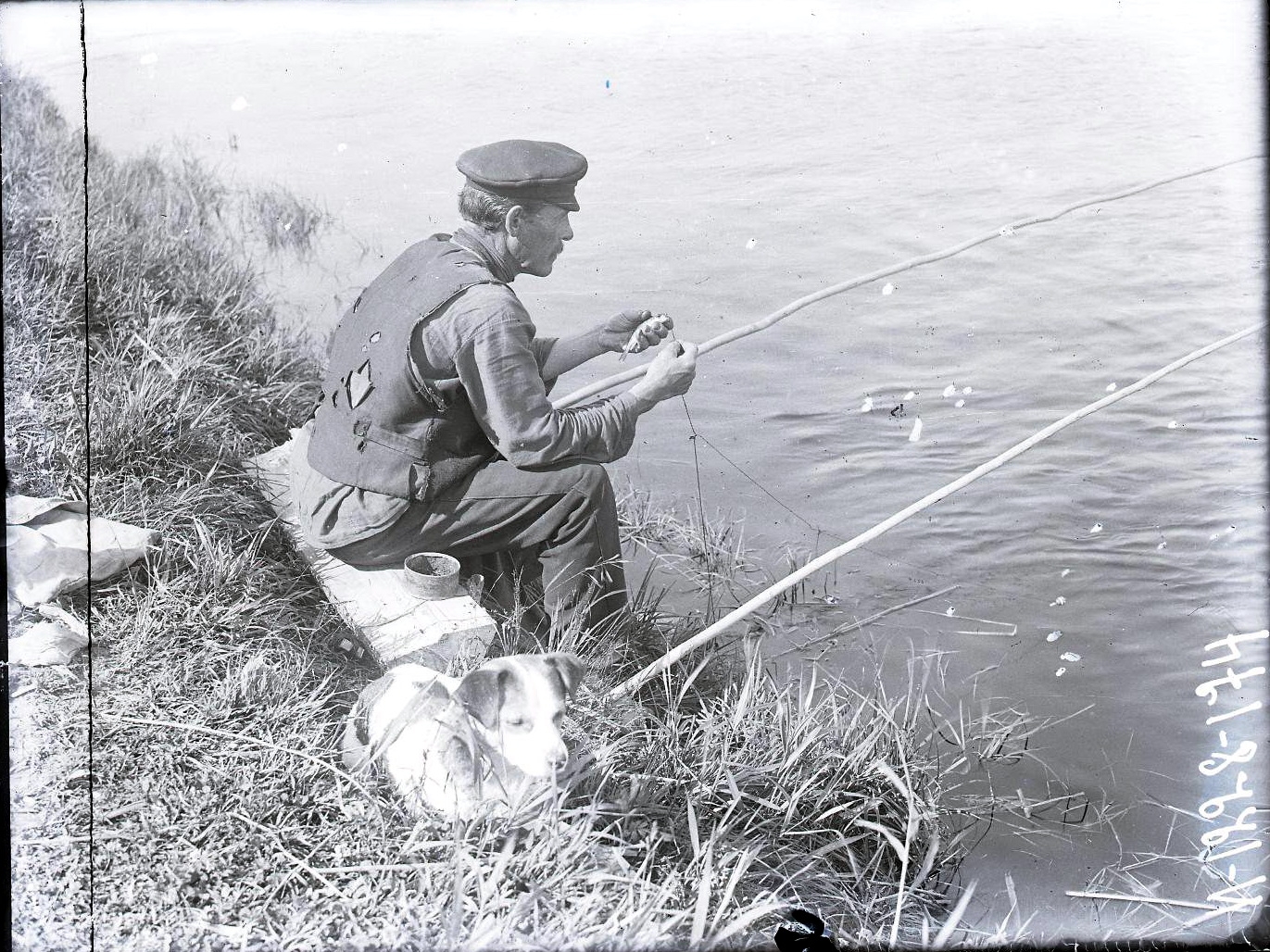 71958982_original.jpg 71958982_original.jpg