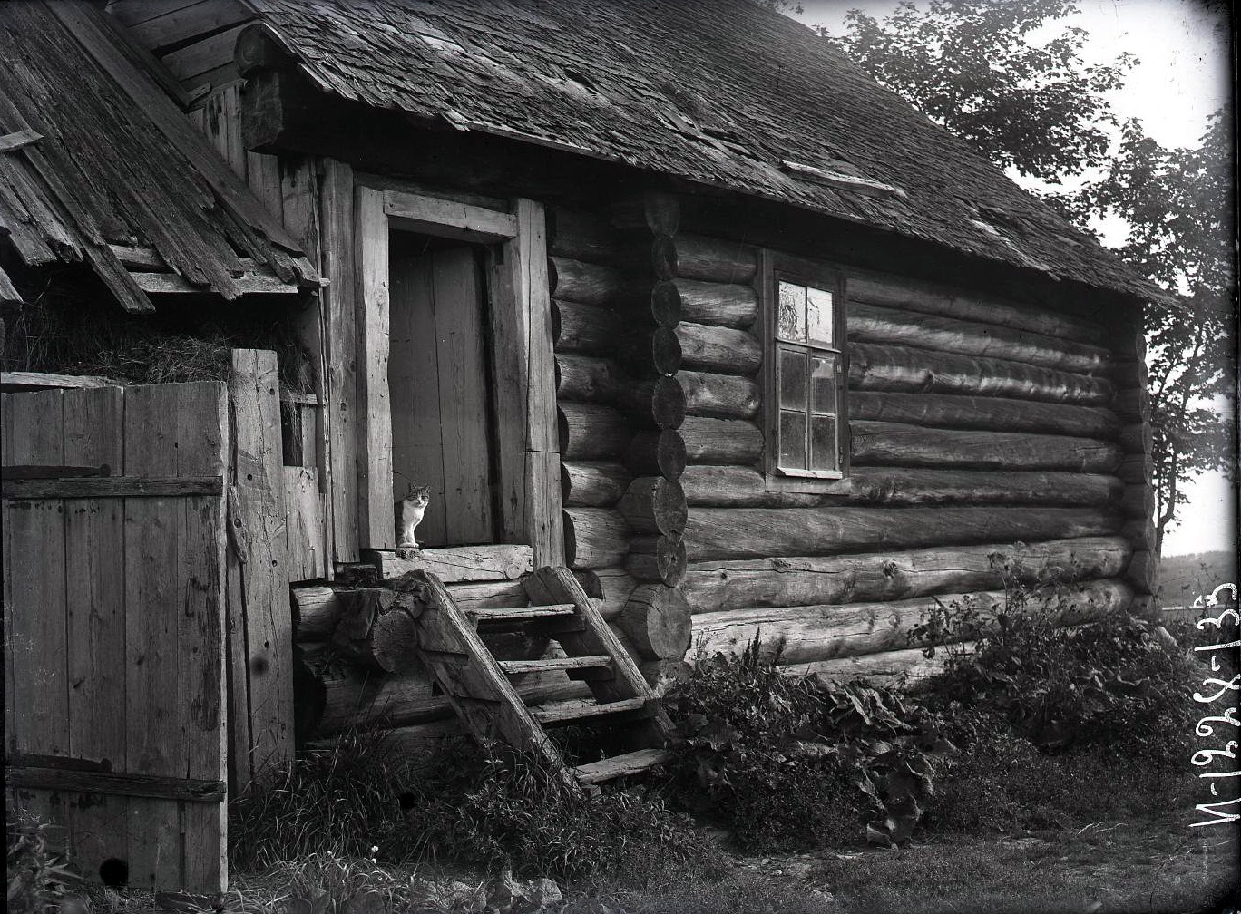 71959785_original.jpg 71959785_original.jpg