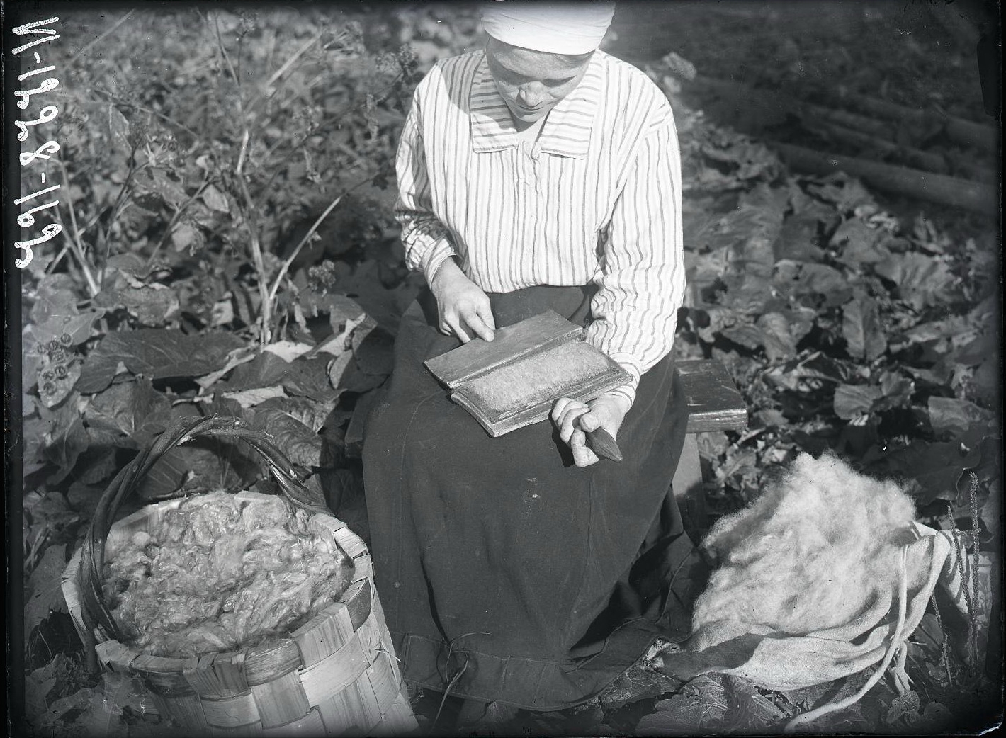 71960459_original.jpg 71960459_original.jpg