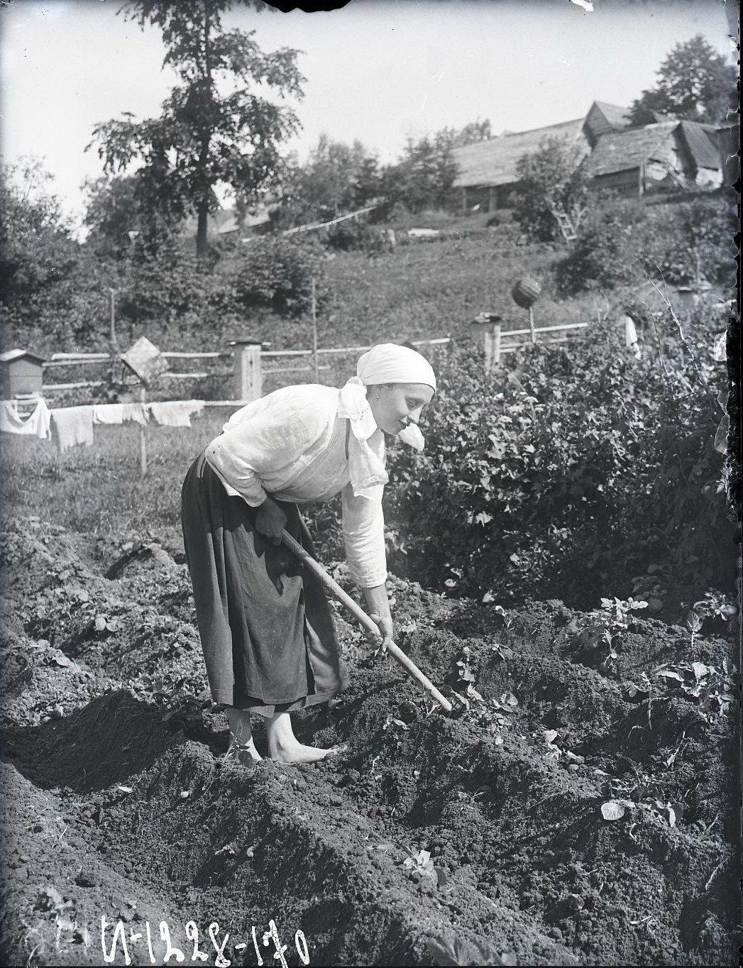 71961081_original.jpg 71961081_original.jpg