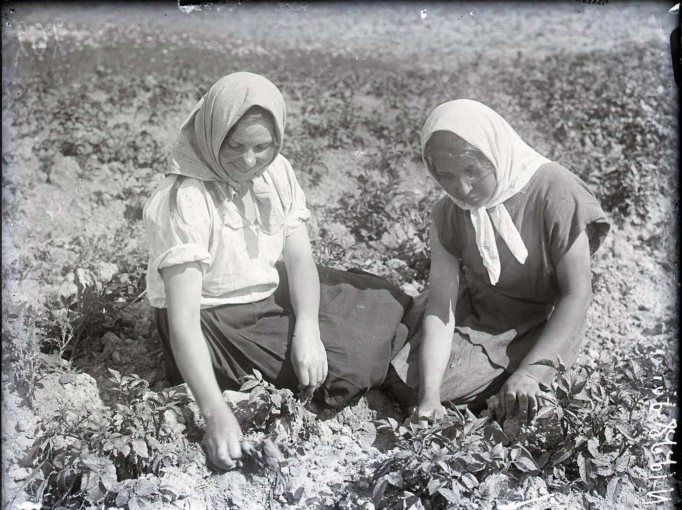 71961218_original.jpg 71961218_original.jpg