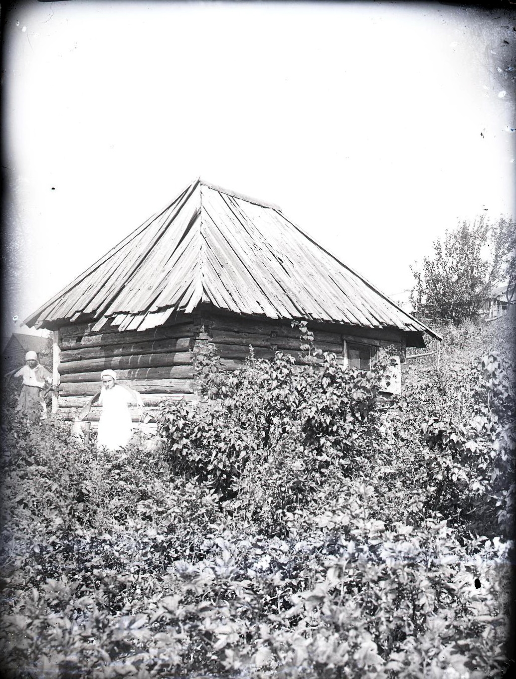 72131561_original.jpg 72131561_original.jpg