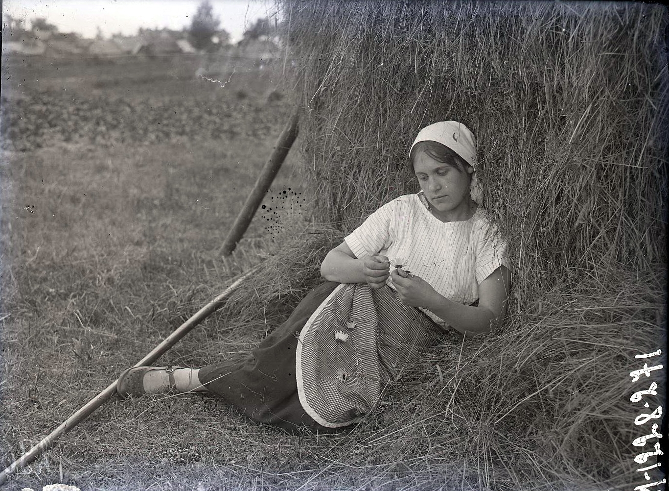 72133621_original.jpg 72133621_original.jpg