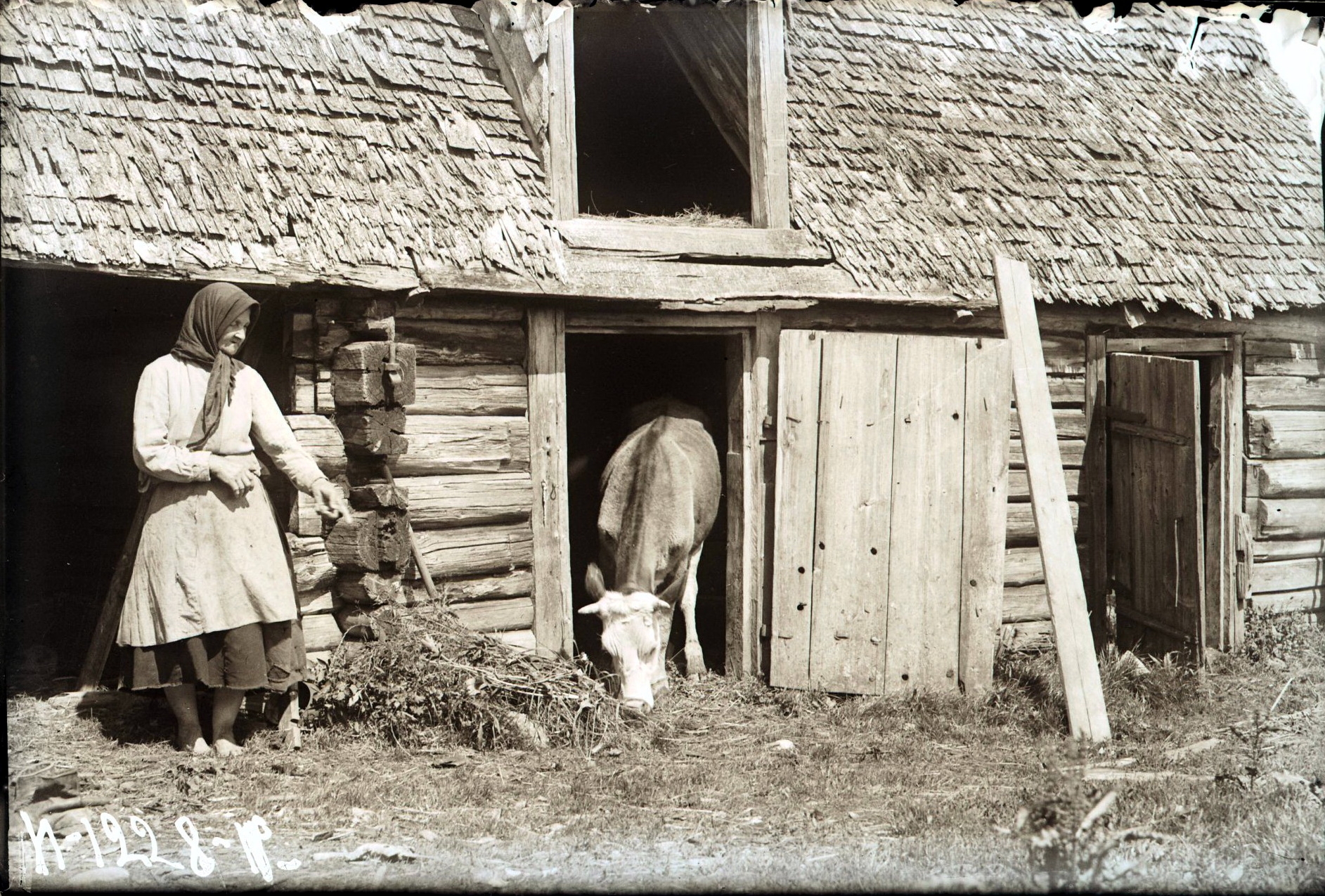 72287516_original.jpg 72287516_original.jpg