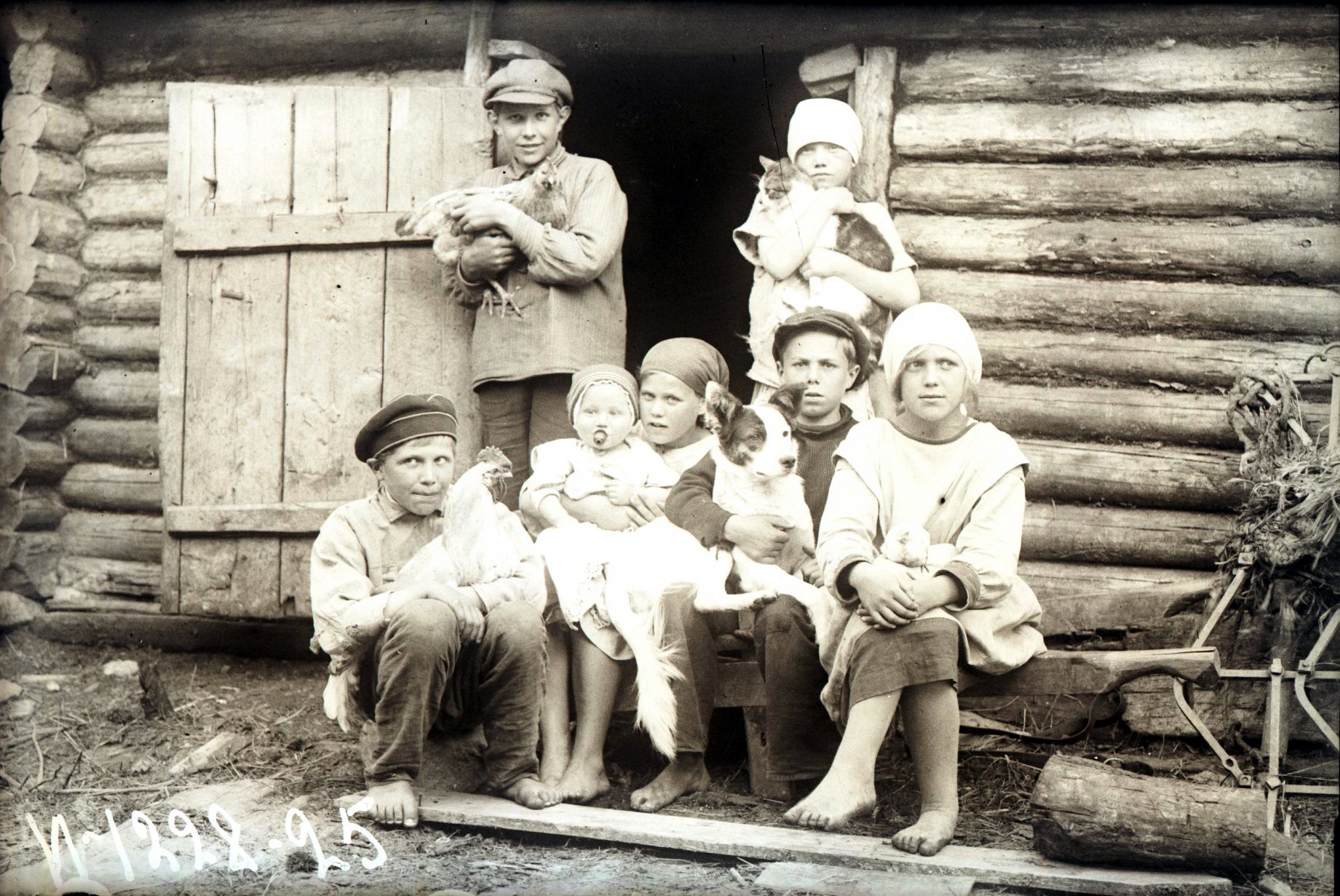 72290354_original.jpg 72290354_original.jpg