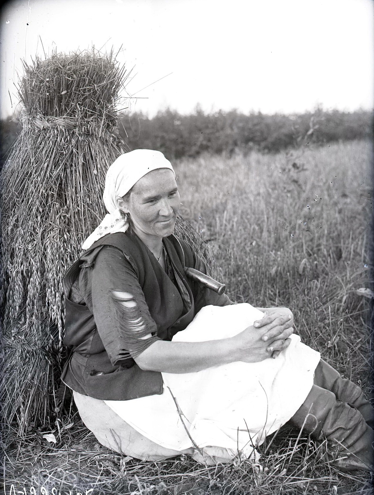 72291232_original.jpg 72291232_original.jpg