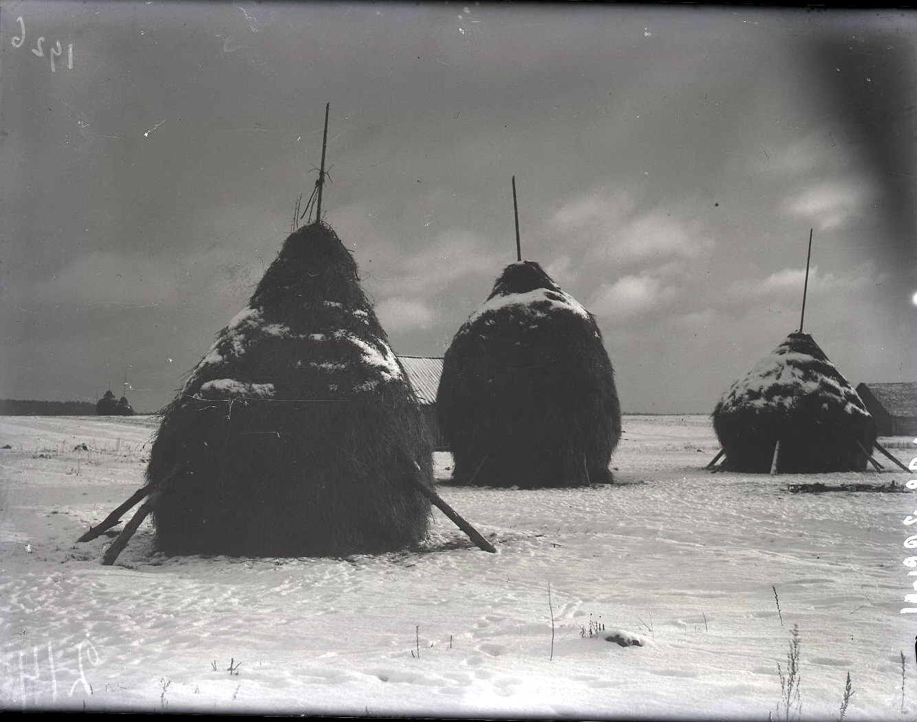 72453508_original.jpg 72453508_original.jpg