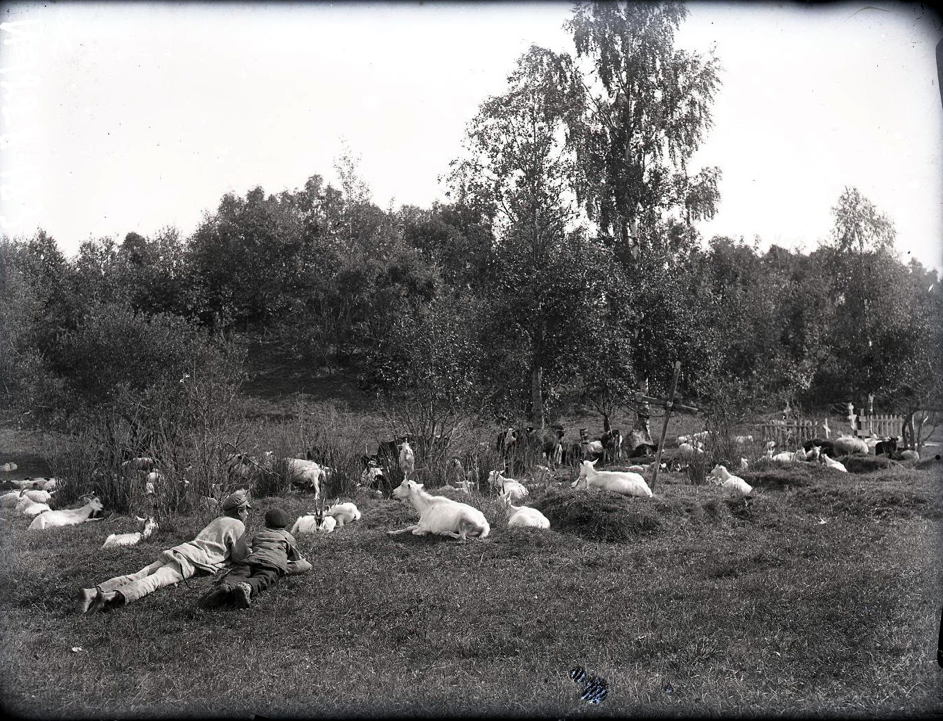 72453738_original.jpg 72453738_original.jpg