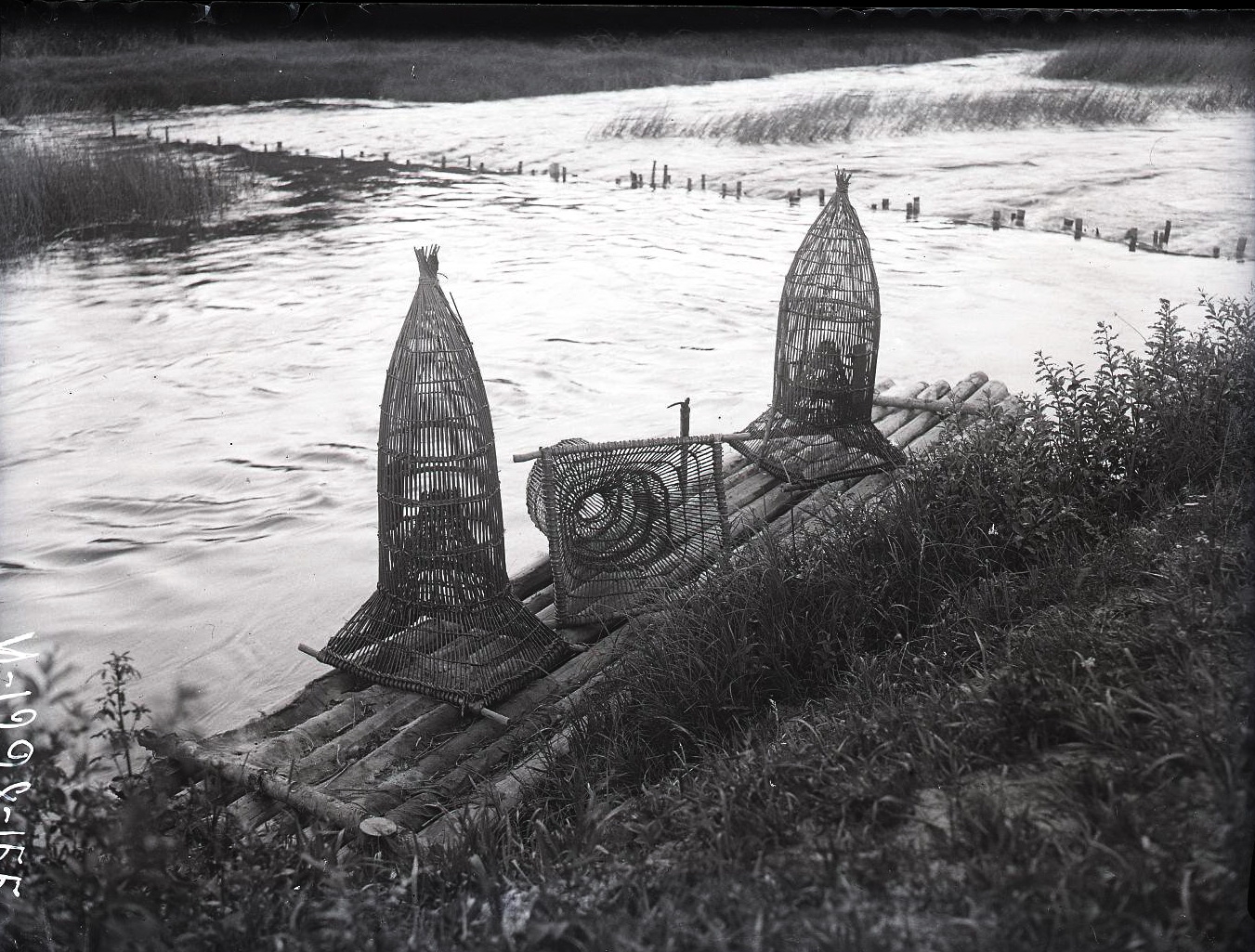 72453913_original.jpg 72453913_original.jpg