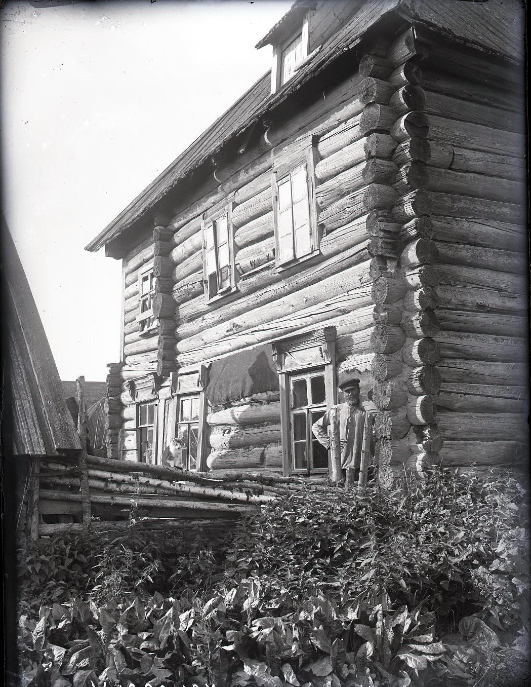 72455404_original.jpg 72455404_original.jpg