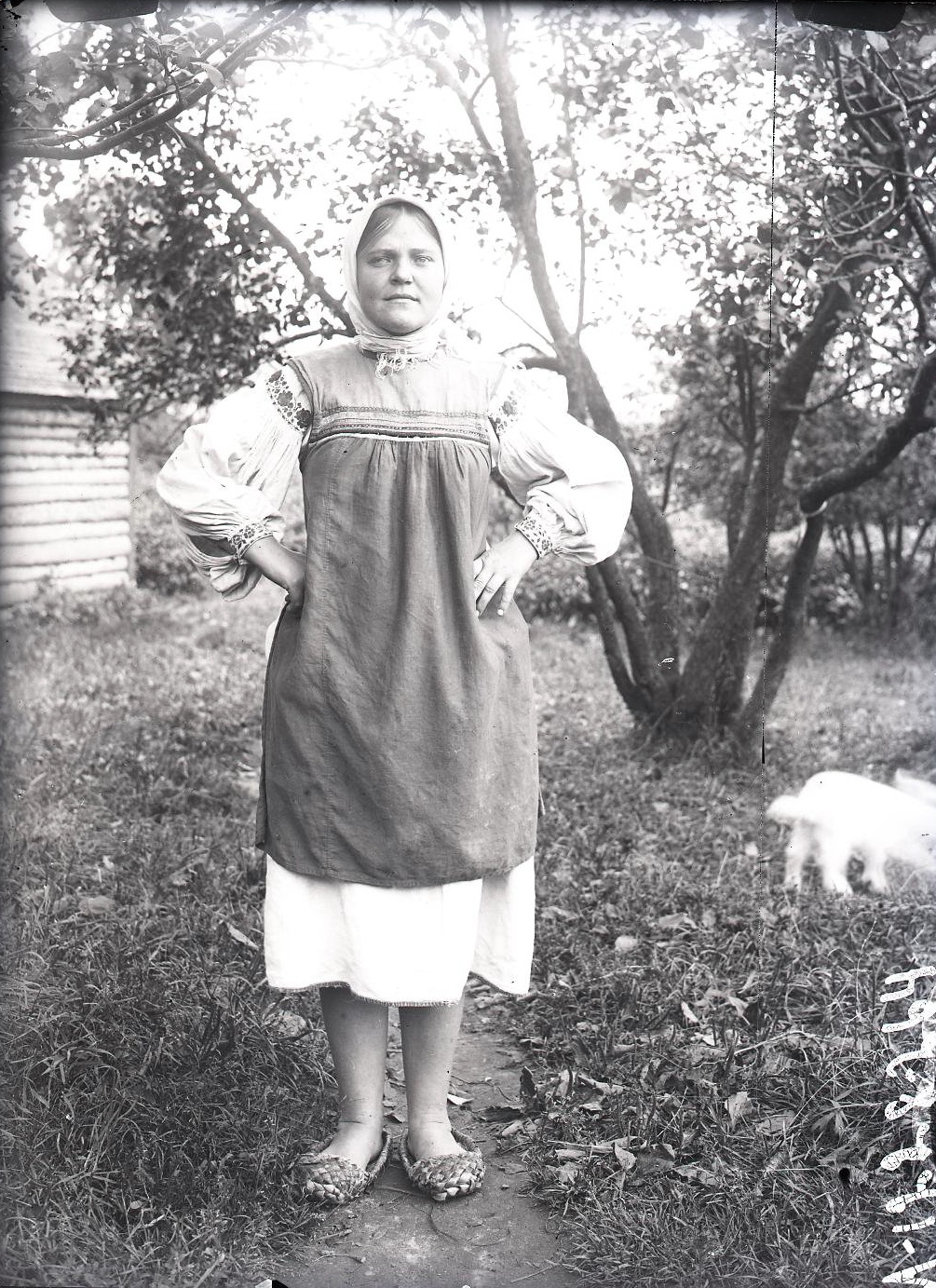 72457290_original.jpg 72457290_original.jpg