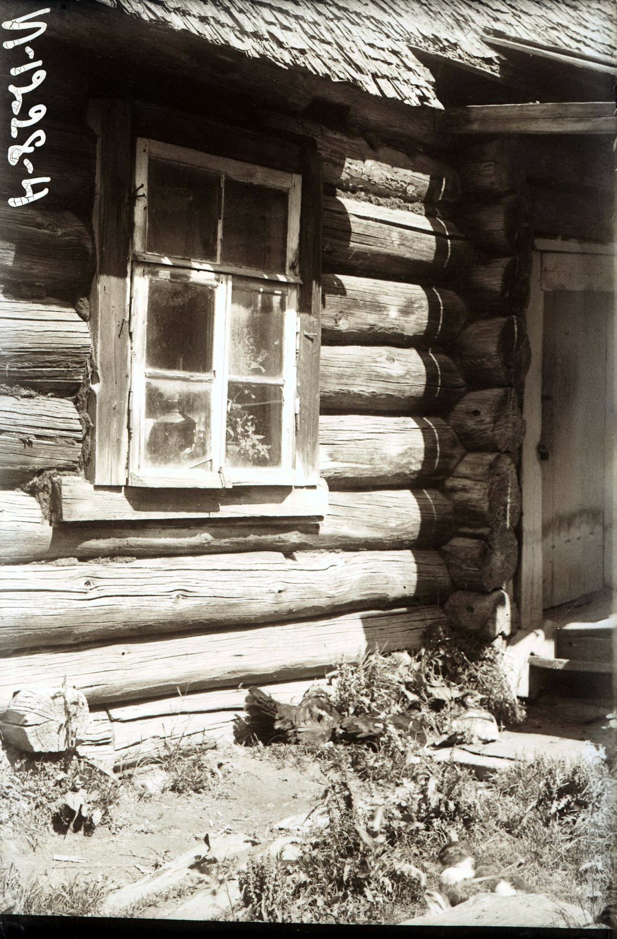 72617070_original.jpg 72617070_original.jpg