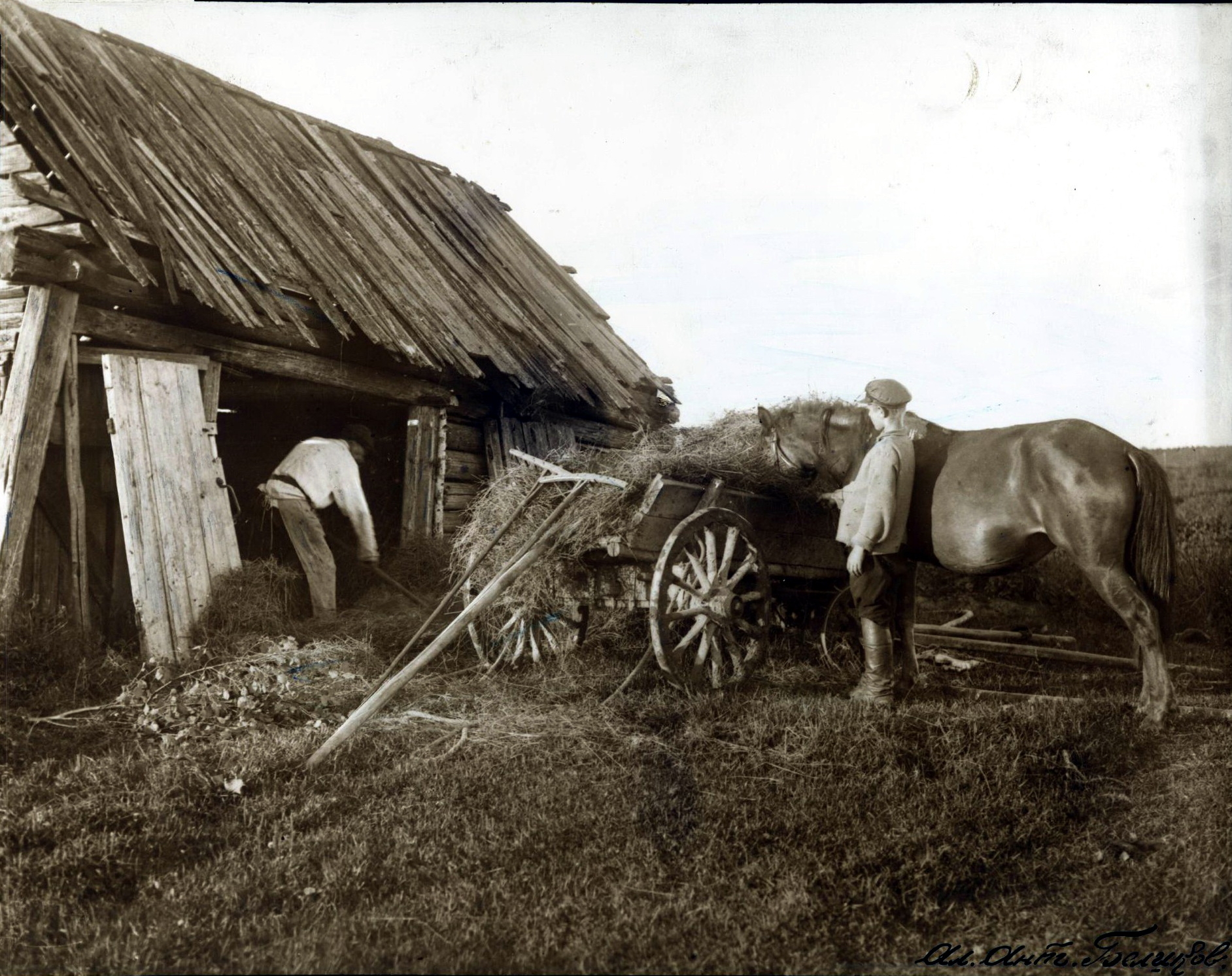 72617306_original.jpg 72617306_original.jpg