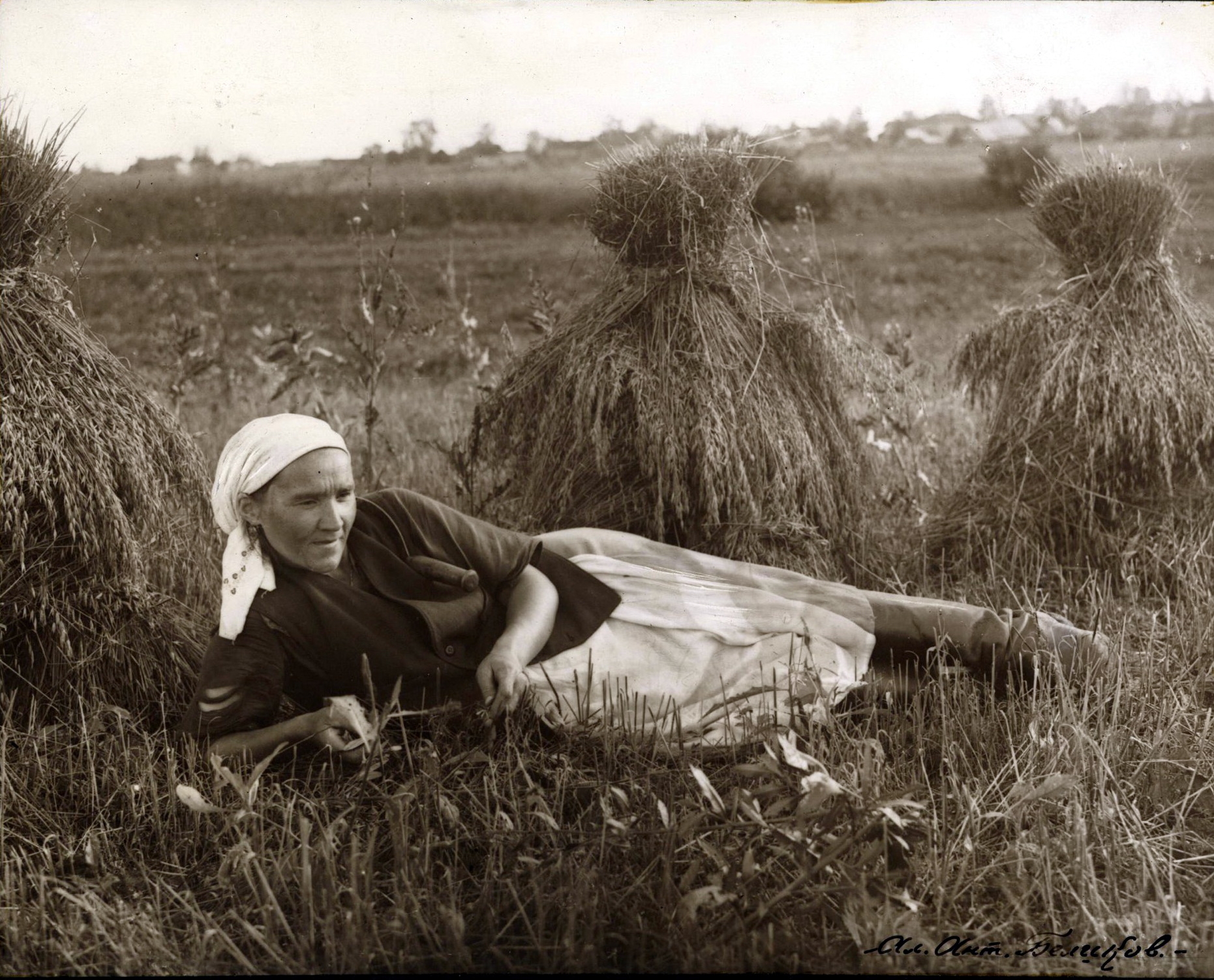 72618911_original.jpg 72618911_original.jpg