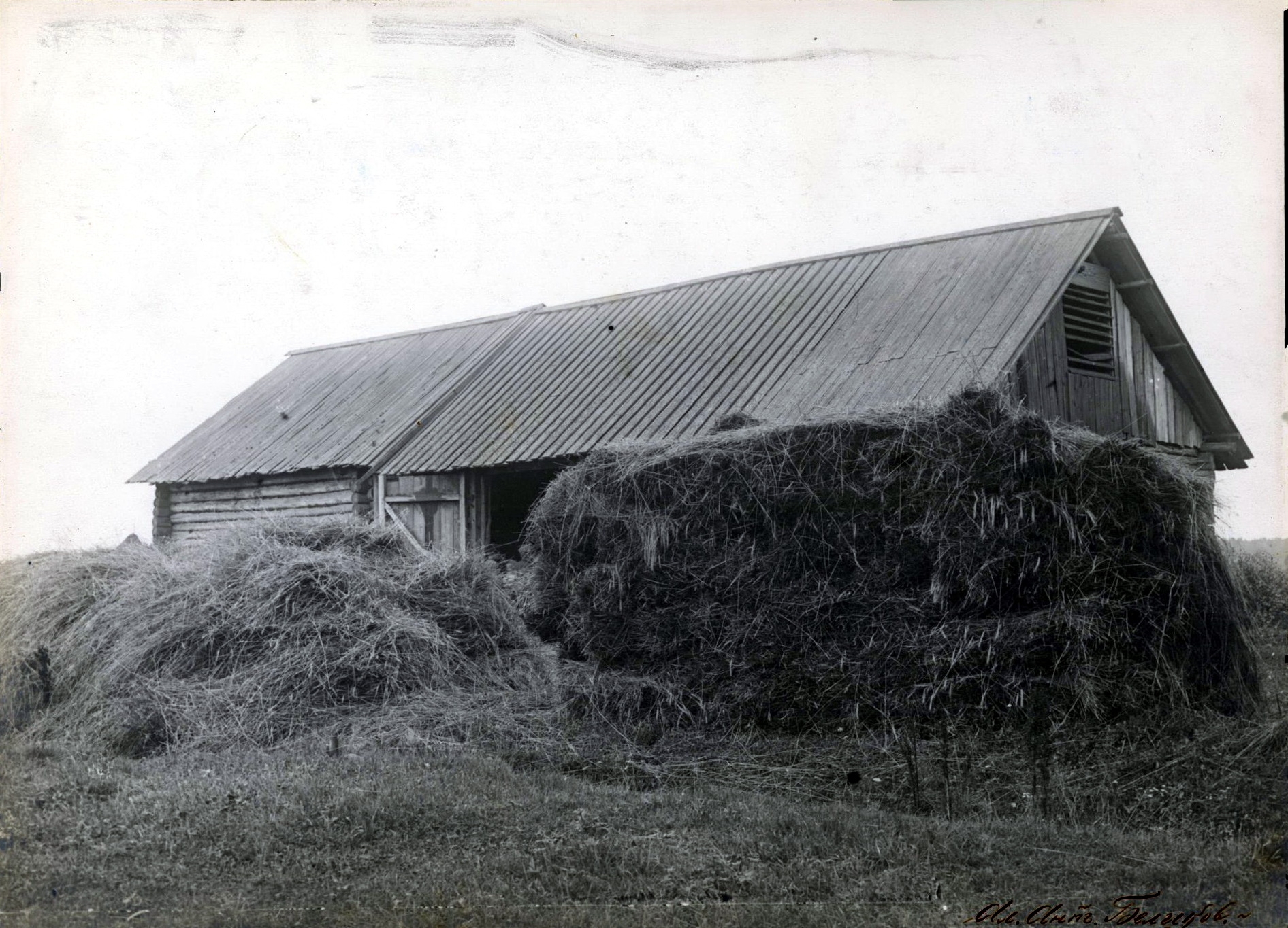 72619800_original.jpg 72619800_original.jpg