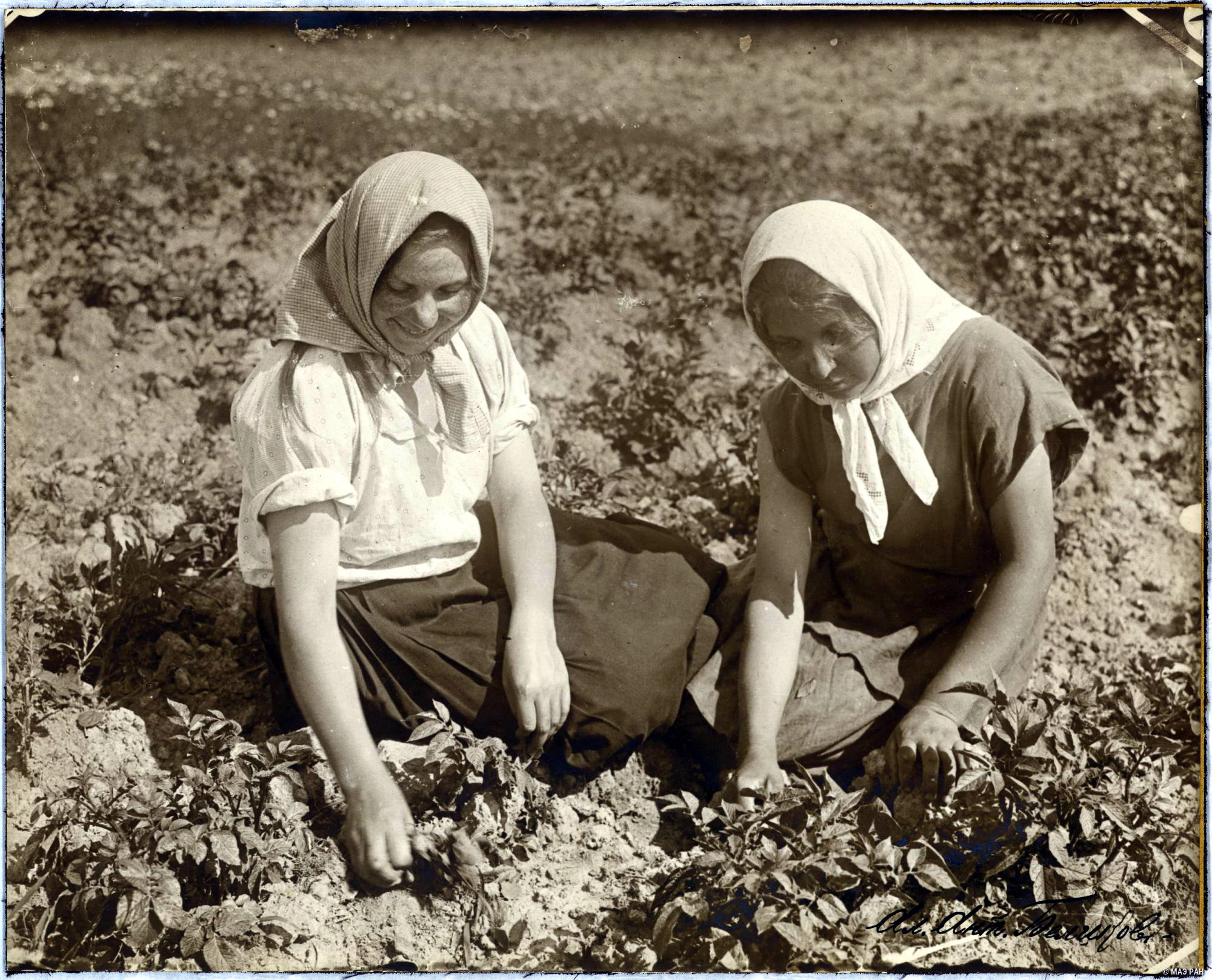 72621441_original.jpg 72621441_original.jpg