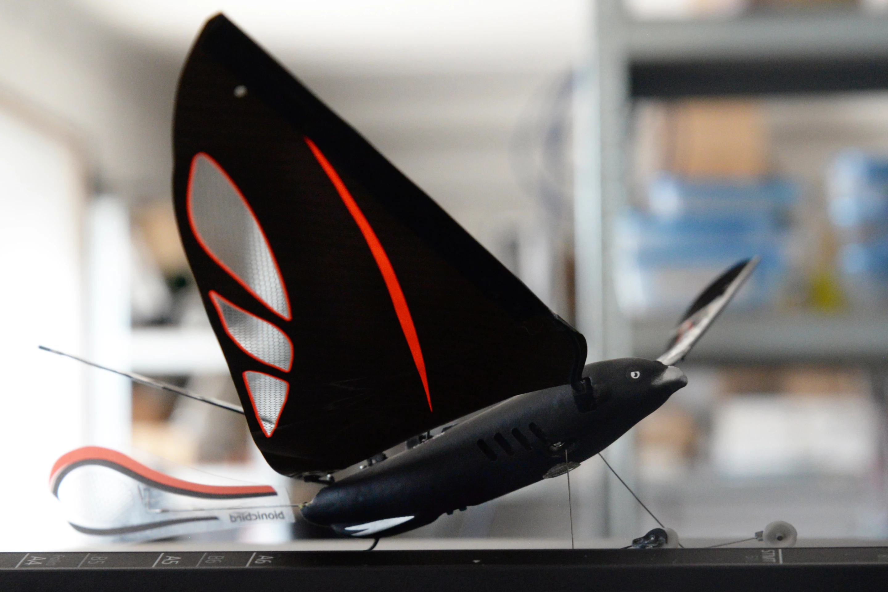 загружено (2).webp