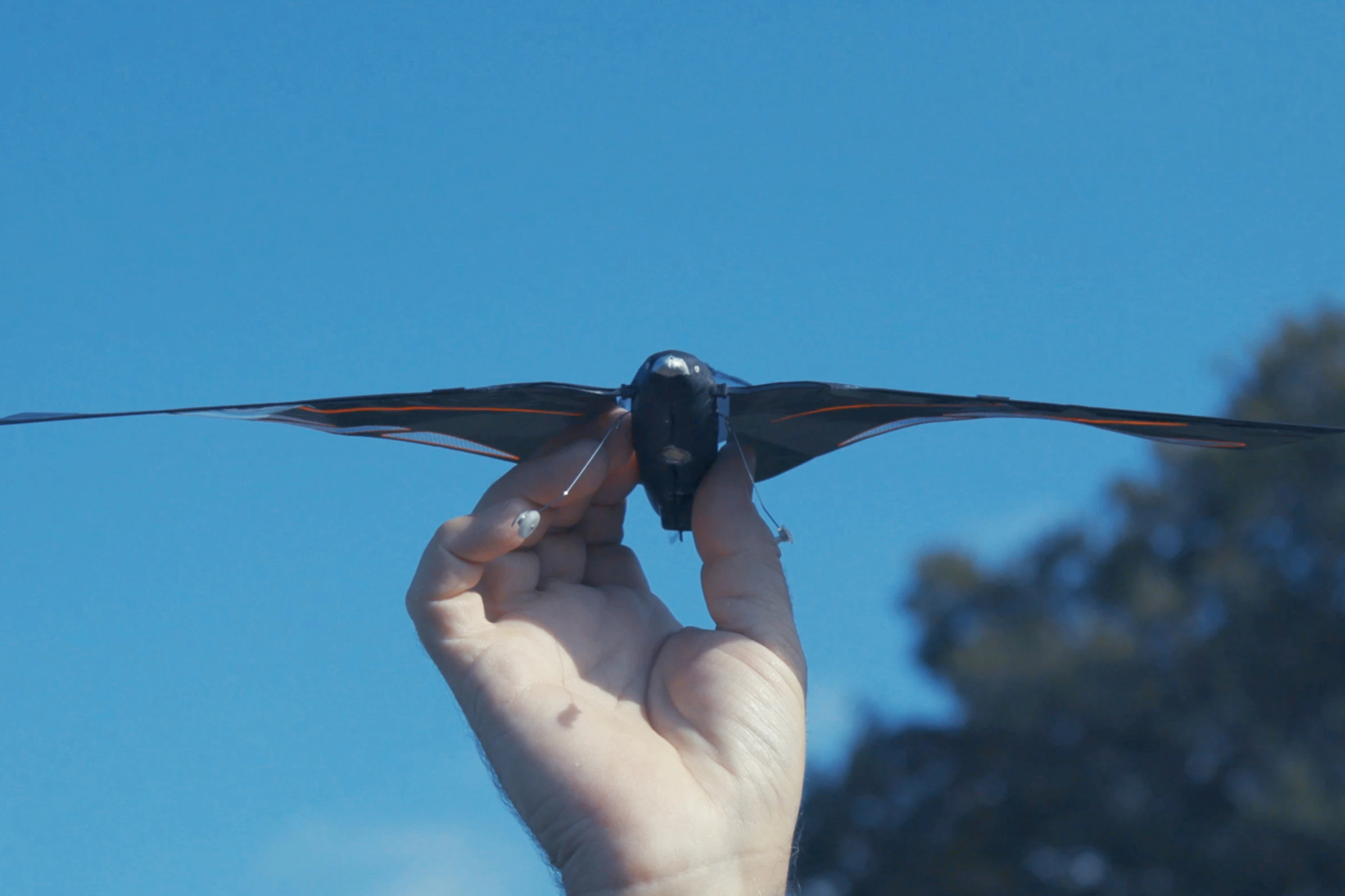 загружено (3).webp