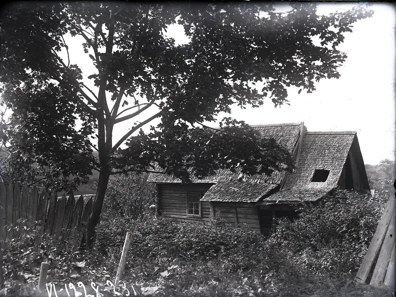 72919733_original.jpg 72919733_original.jpg