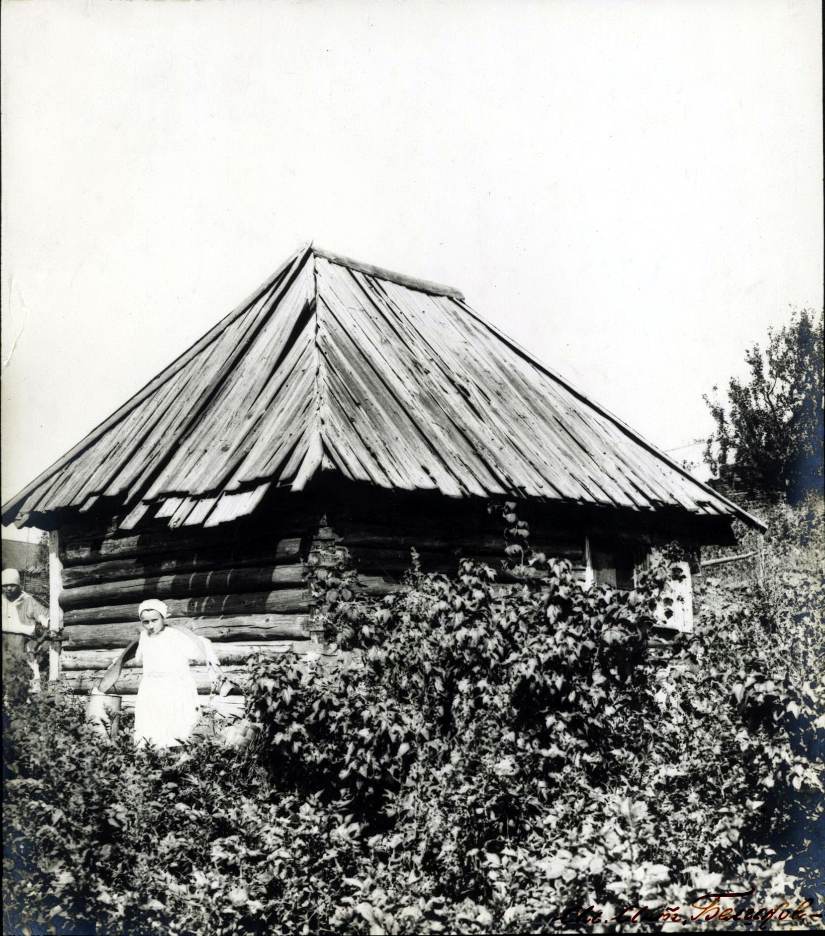 72920339_original.jpg 72920339_original.jpg