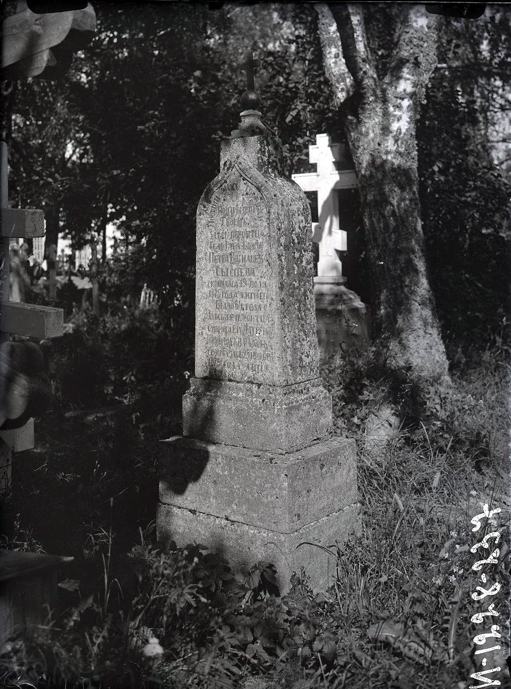 73095647_original.jpg 73095647_original.jpg