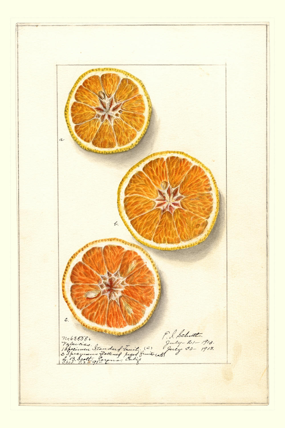 Valencia-by-Ellen-Isham-Schutt-1887.jpeg